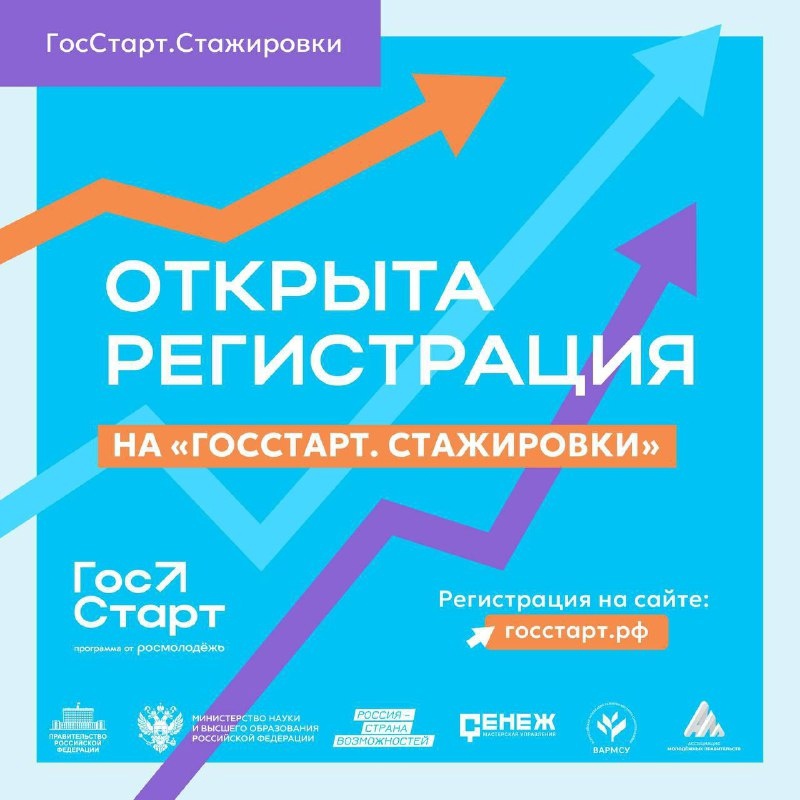 Стажировка в органах власти.