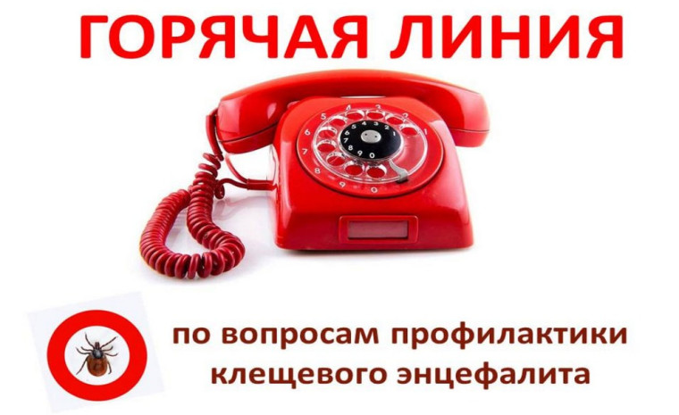 О работе «горячей линии» по вопросам профилактики клещевого вирусного энцефалита..
